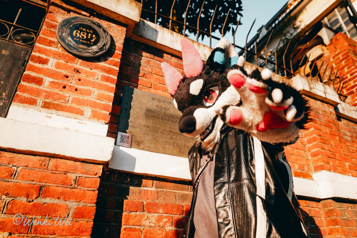 Meo辰辰 tweet media