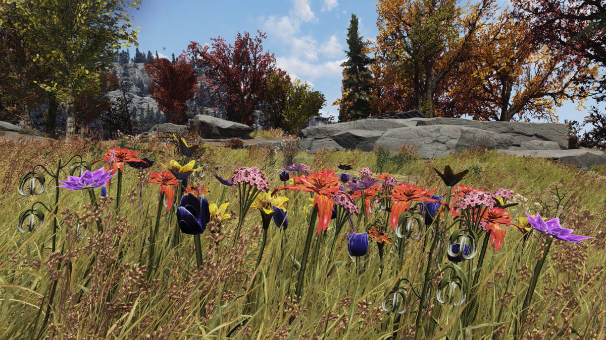 Bethesda Game Studios tweet media