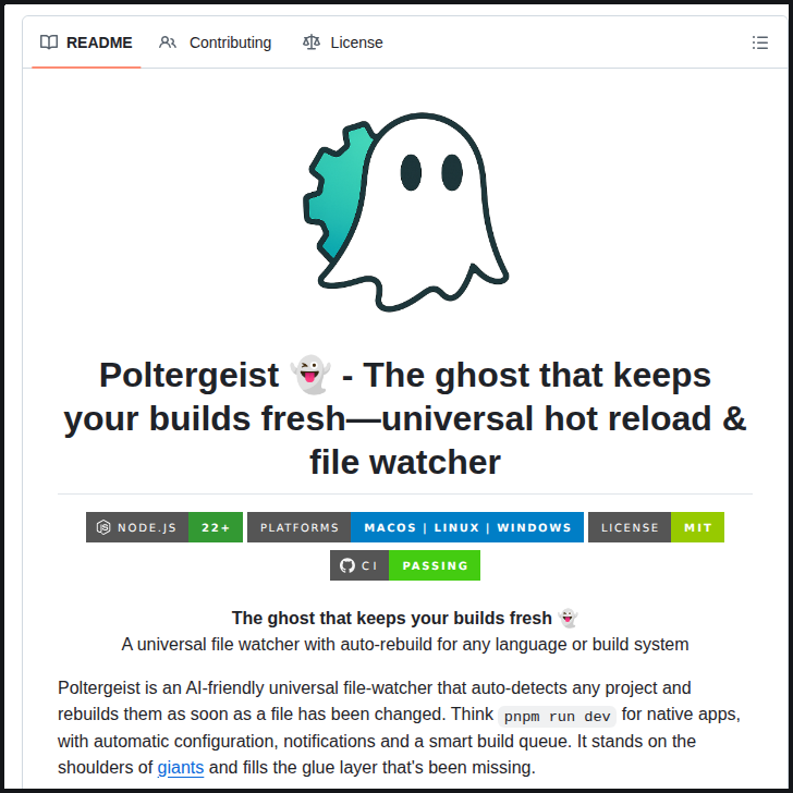 Tom Dörr tweet media