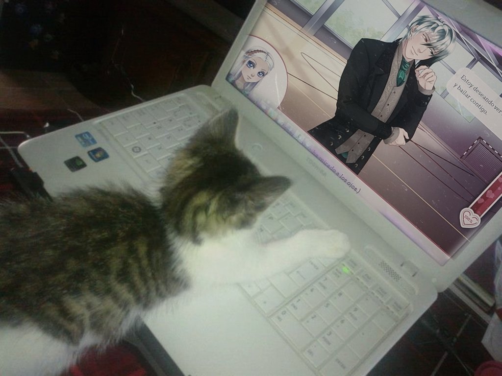 ִ࣪ nana 𖤐 tweet media