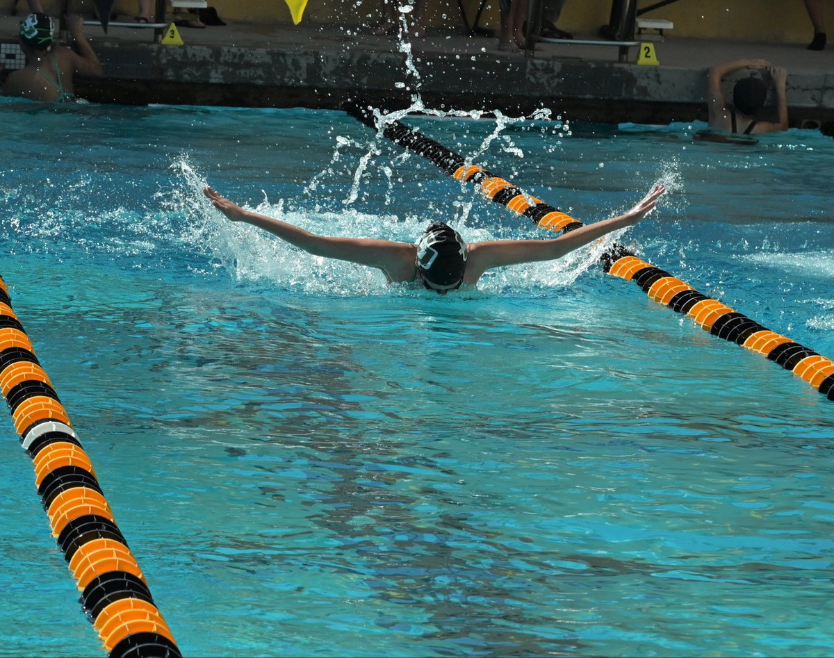 huntermom51's tweet photo. Varsity Girls Swimming at Panorama HS. Super hot but got a few pics! #HunterPride @CIFLACS @latsondheimer @ErikSarni1 @LAVarsity @CalHiSports @pollonpreps @Tarek_Fattal https://t.co/I69B5AZs1b