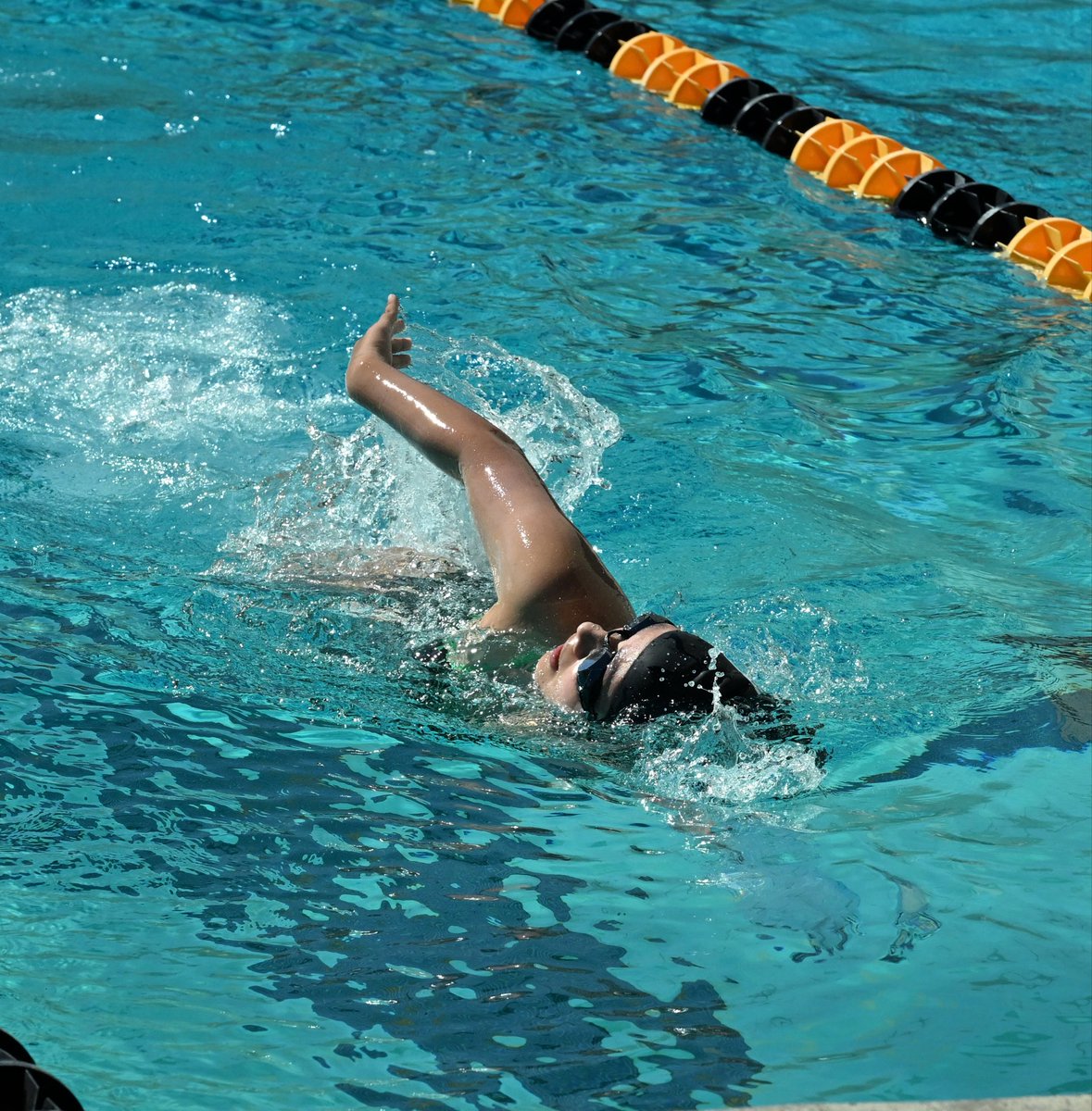 huntermom51's tweet photo. Varsity Girls Swimming at Panorama HS. Super hot but got a few pics! #HunterPride @CIFLACS @latsondheimer @ErikSarni1 @LAVarsity @CalHiSports @pollonpreps @Tarek_Fattal https://t.co/I69B5AZs1b