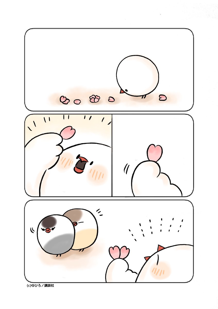 ツイシリ tweet media