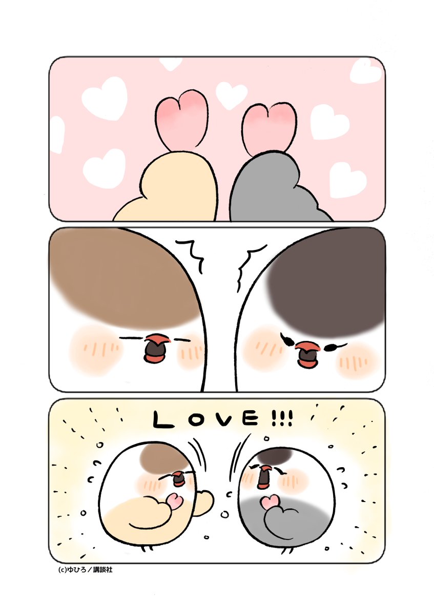 ツイシリ tweet media