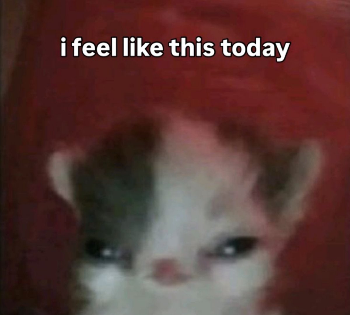 HelloMimiz tweet media