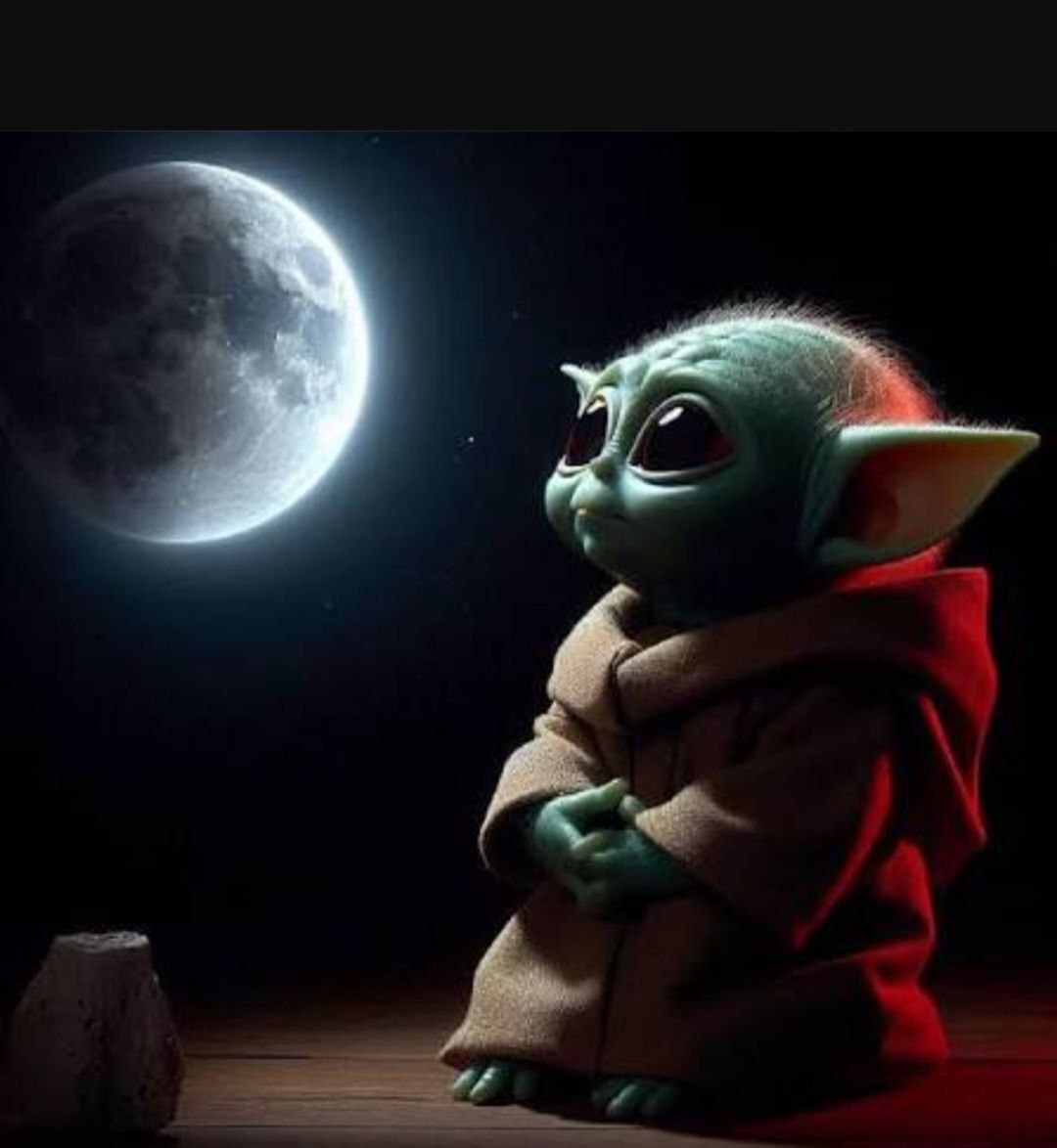 MetaShark tweet media