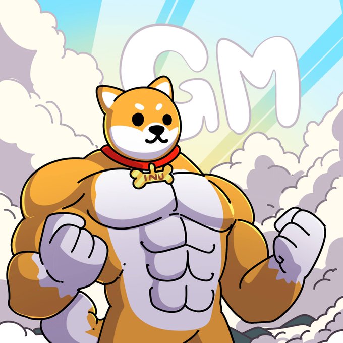 Cly-X🚫🧠 tweet media