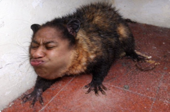 Reitora da FUDERJ tweet media