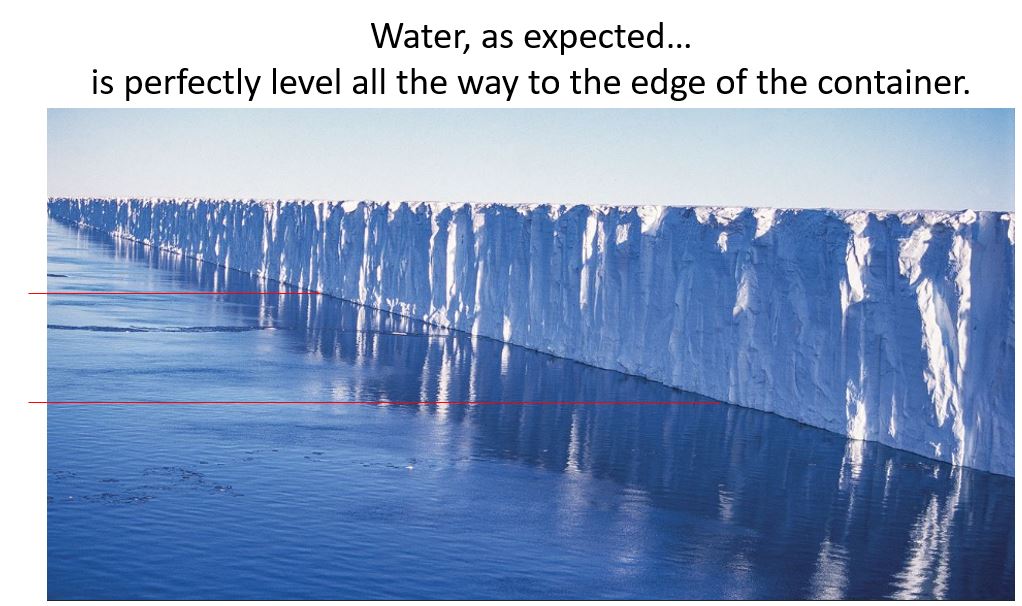 Groopert tweet media