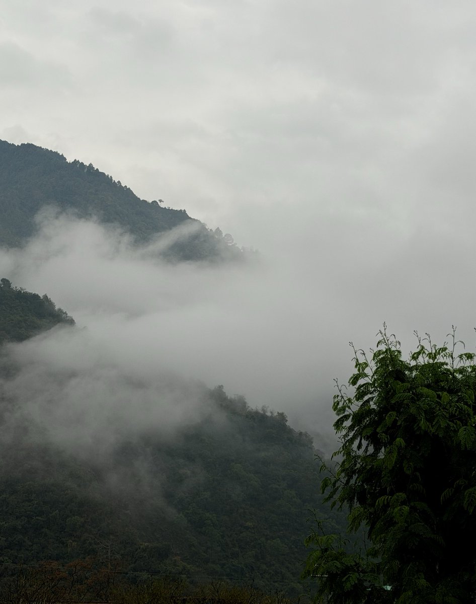 Tripti Naithani #पहाड़ी tweet media