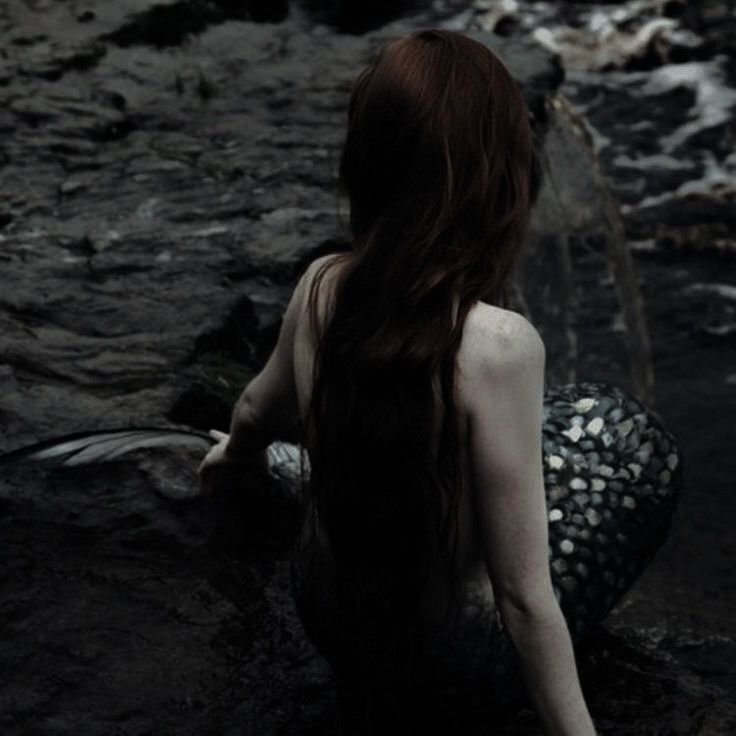 • . 𝖎𝖋 𝖎 𝖍𝖆𝖉 𝖆 𝖍𝖊𝖆𝖗𝖙 ° . • tweet media