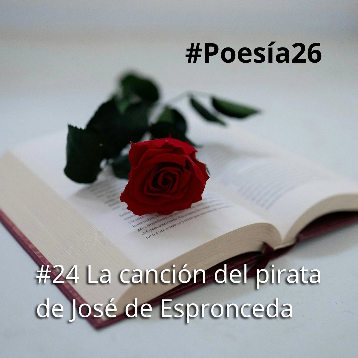 E. R. E. (@ere_escritos) / Posts / X