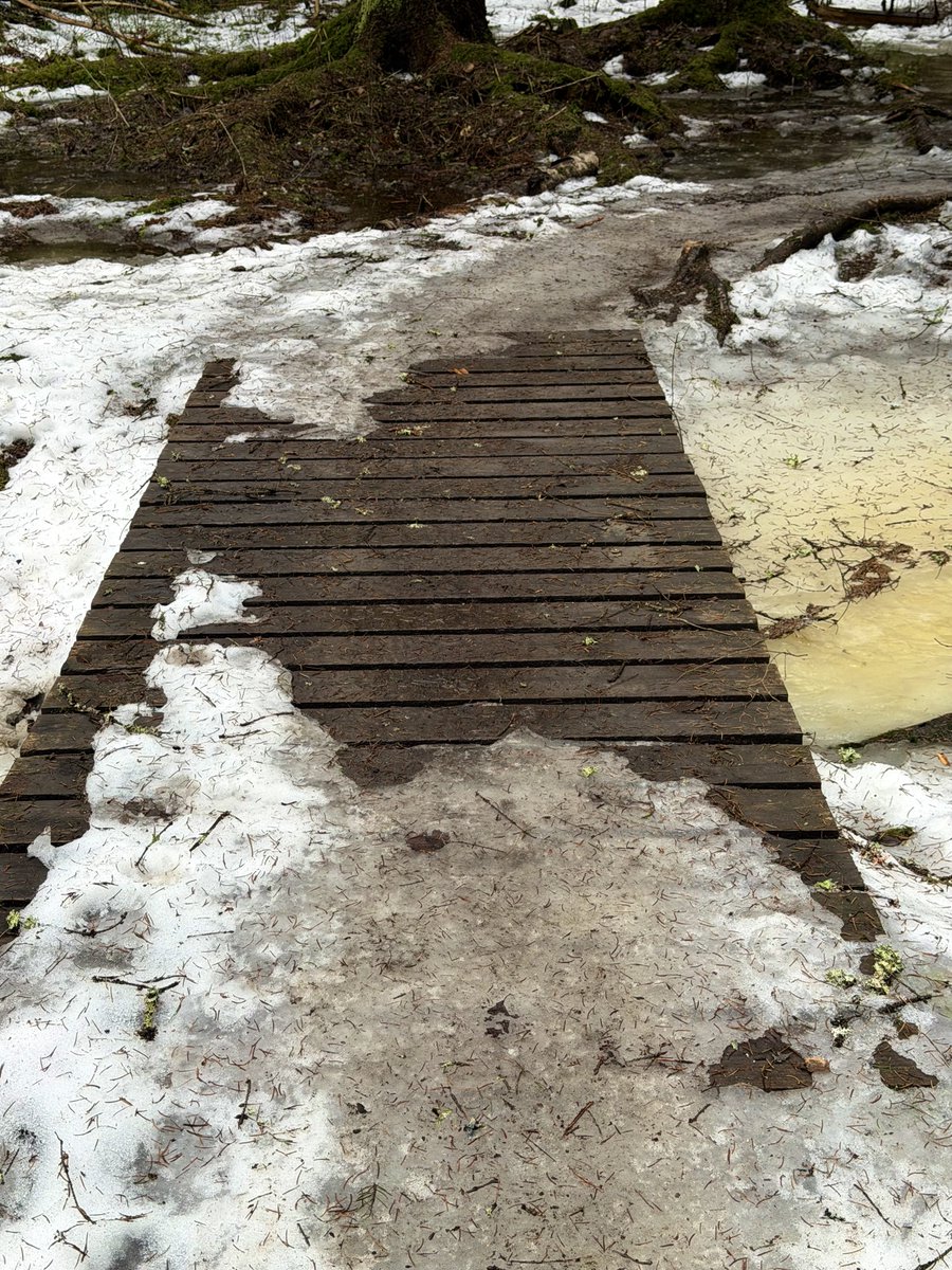 NGlers's tweet image. Pikkusiltaa viikonloppuun #silta 🇫🇮❄️ #metsä #woods