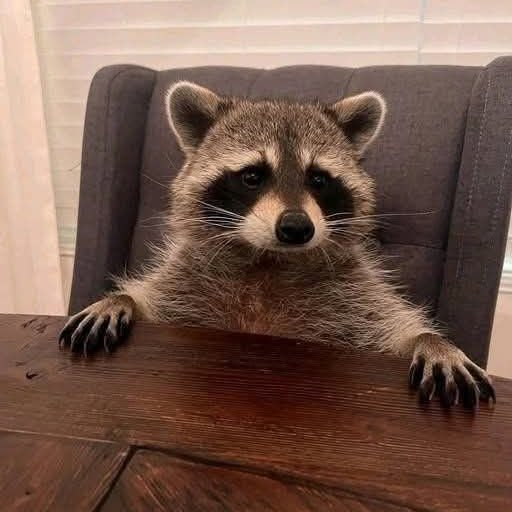 預言者アライ(ヨライ)さん tweet media