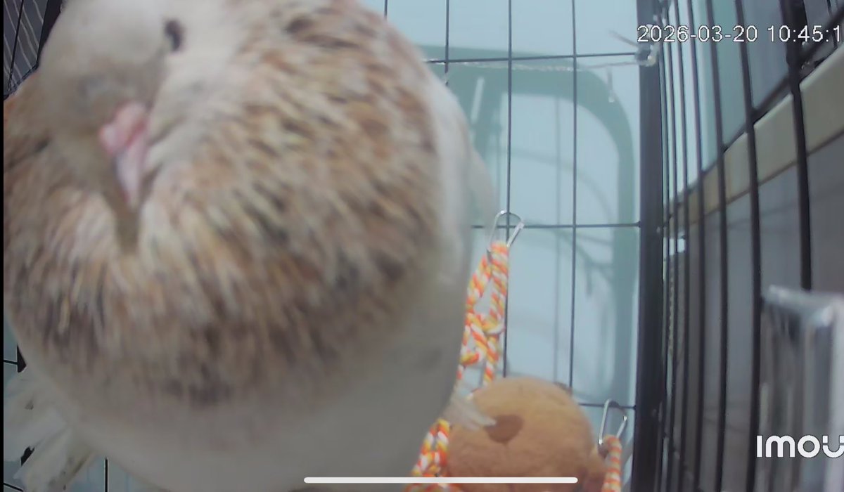 𝐋𝐢𝐟 ︎︎ ︎ ︎︎ 𖥔₊ ݁ ︎︎ ︎ ︎︎ tweet media