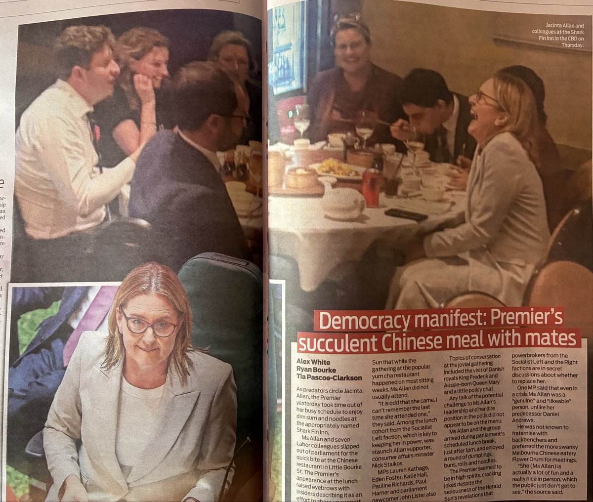 Brainy Tim tweet media