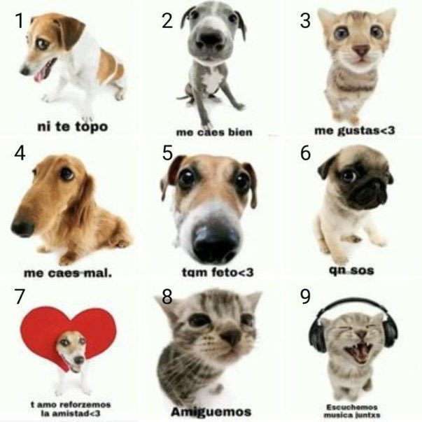 jachuuྀི ⁷ tweet media