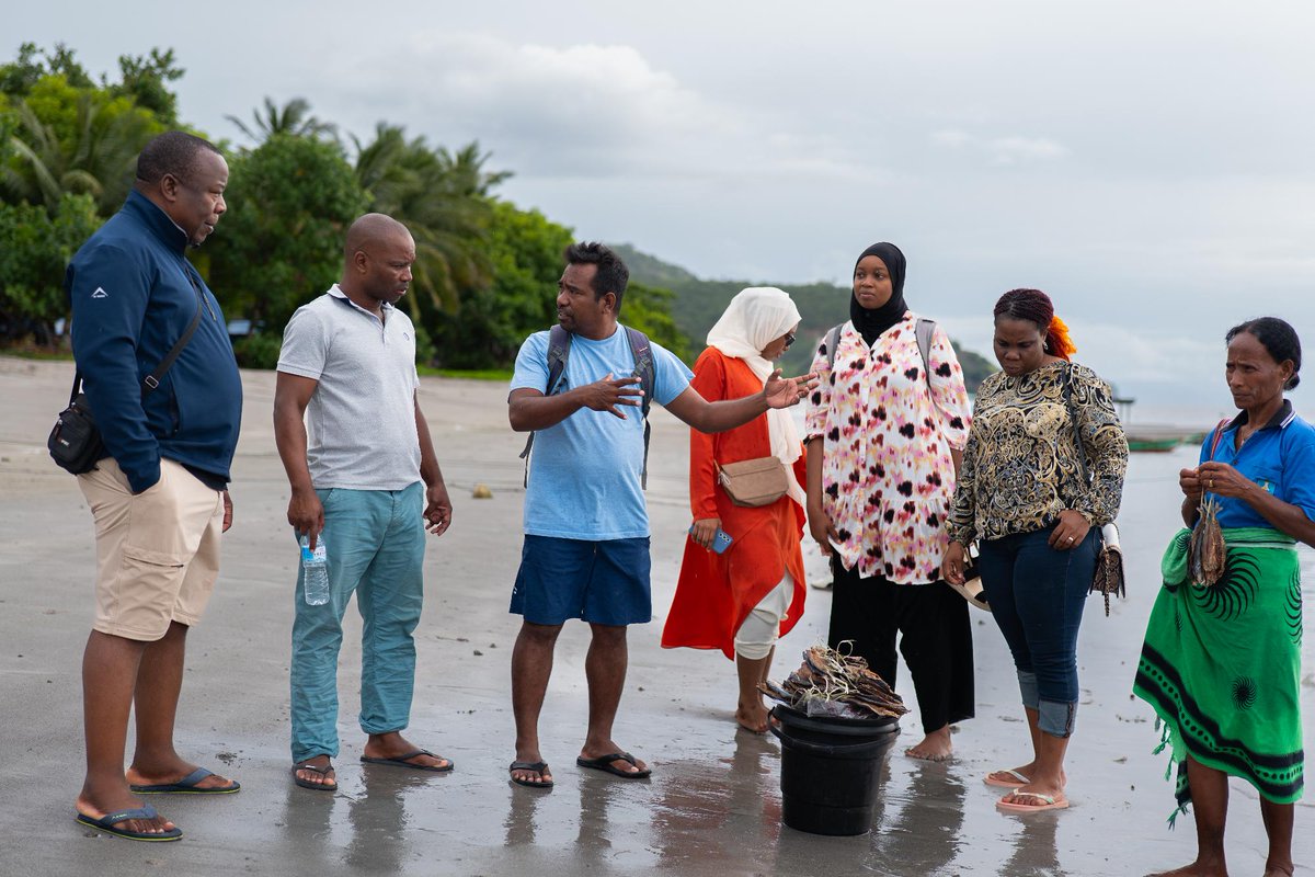 WorldFish tweet media