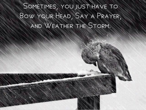 LThonnesen's tweet photo. https://t.co/knWmX2N4Pz