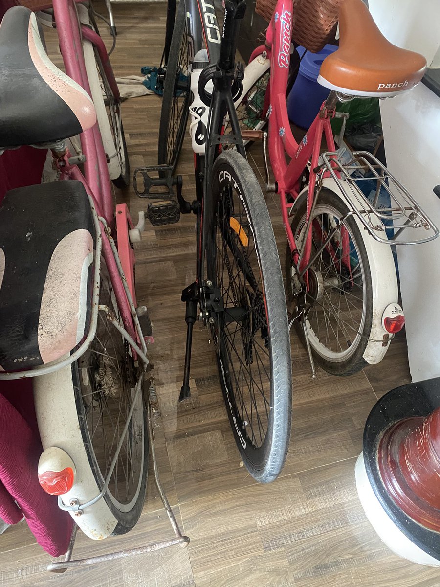 HaiHau🟡 tweet media