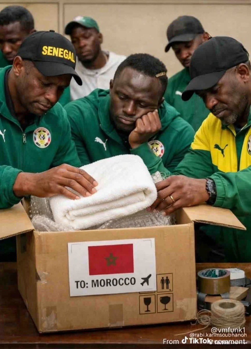 On a deux CAN 🇸🇳🌟🌟 tweet media