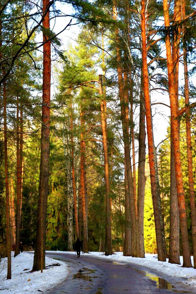 Сергей Лесник tweet media