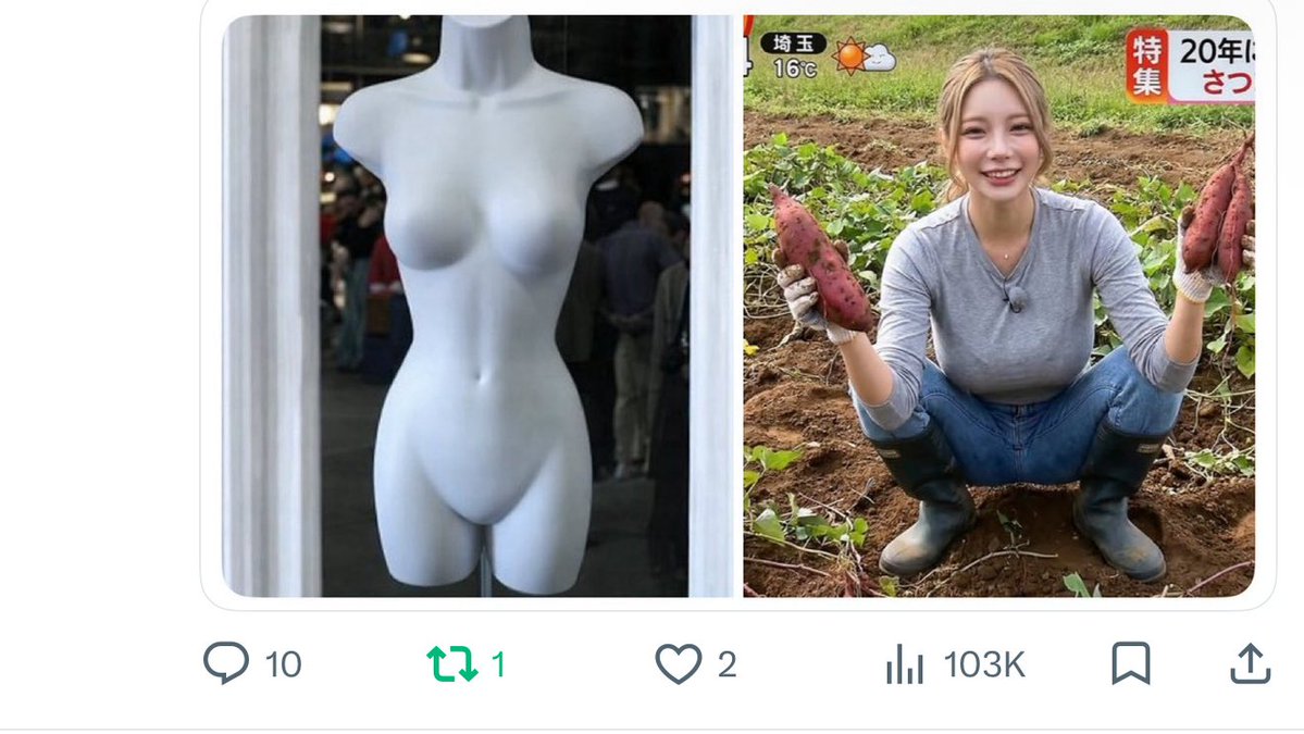 Jean Marc NICOLAS tweet media