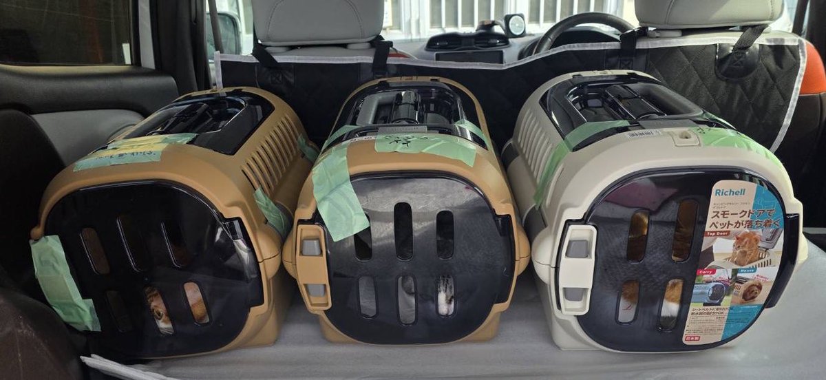 すみパン@4/12(日)譲渡会 tweet media