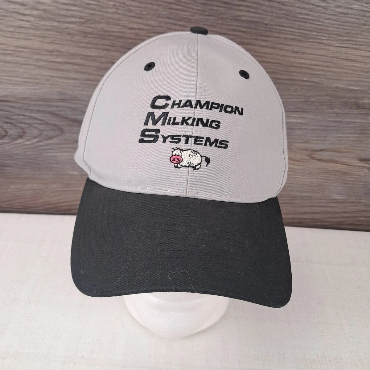 YoungGoy Never Vote Again tweet media