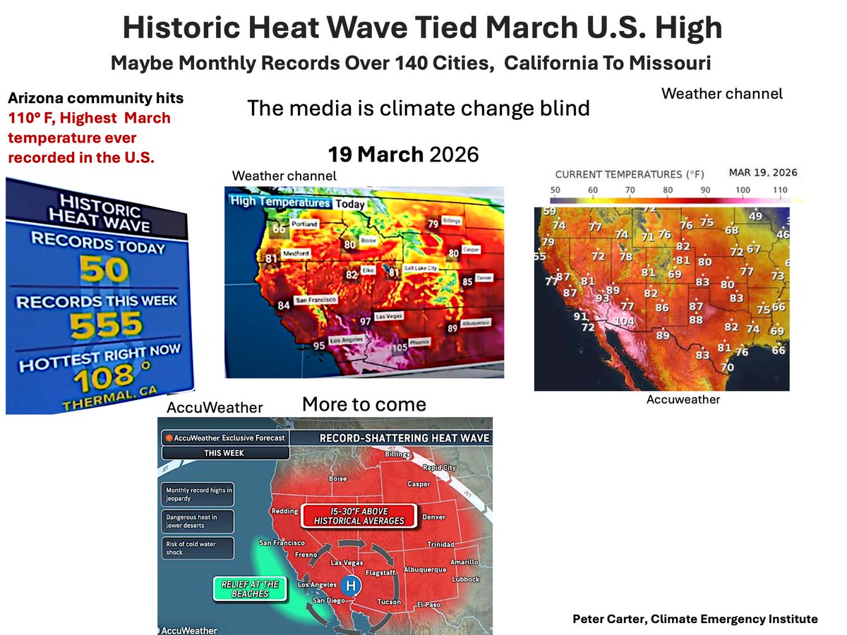 Peter D Carter tweet media