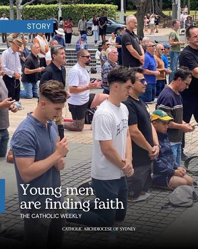 The Beaver Program tweet media