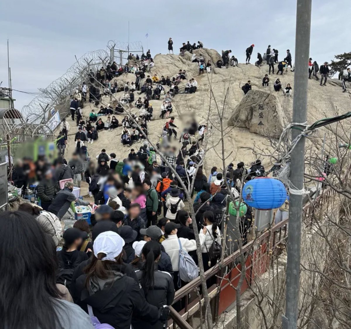 캣츠파파 tweet media