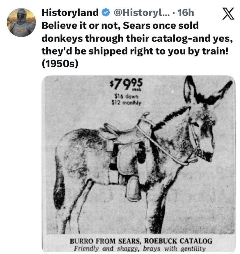 Shannon 🇺🇸I stand with America tweet media