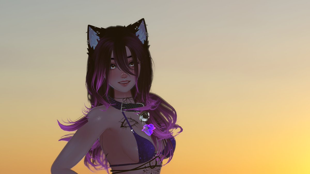 CrypticCat tweet media