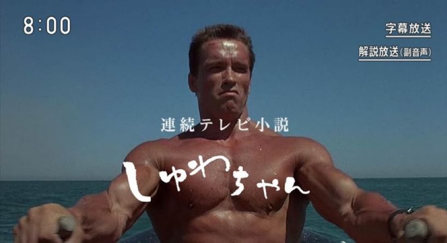 美香ちゃんⓇ tweet media