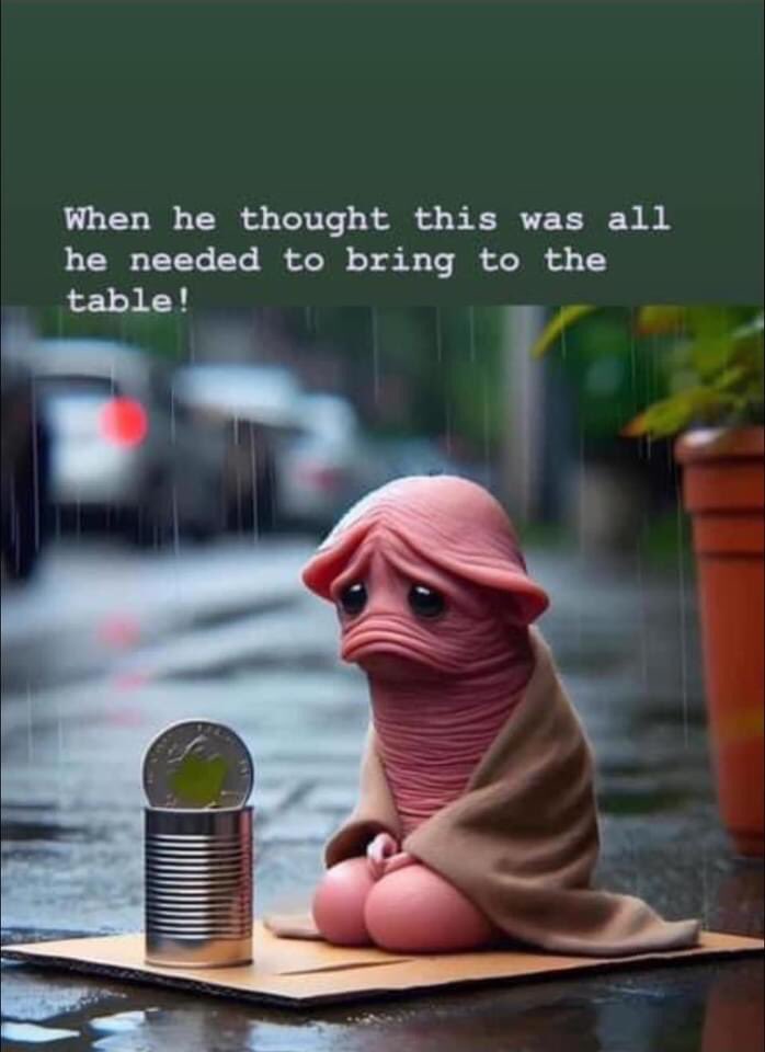 Schmoo’s Mimi tweet media