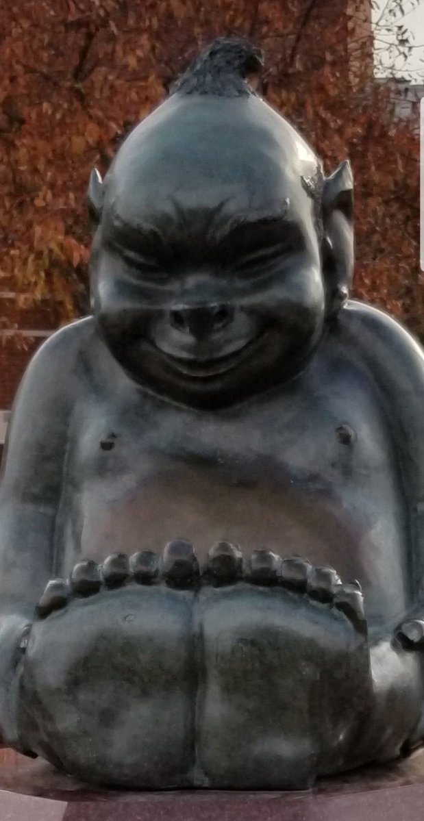 Sam Federman tweet media