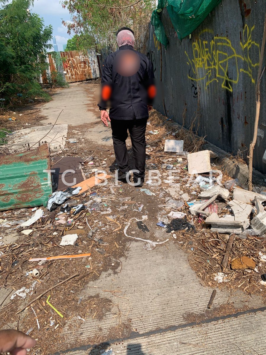 TG BIGBEAR tweet media