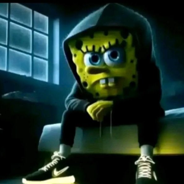 NOAH 🦦🌴 tweet media