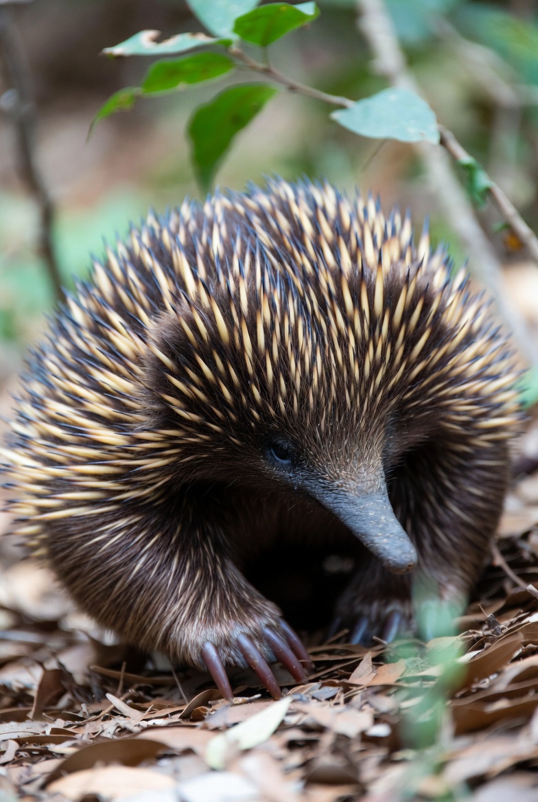 Ravena Blakely tweet media