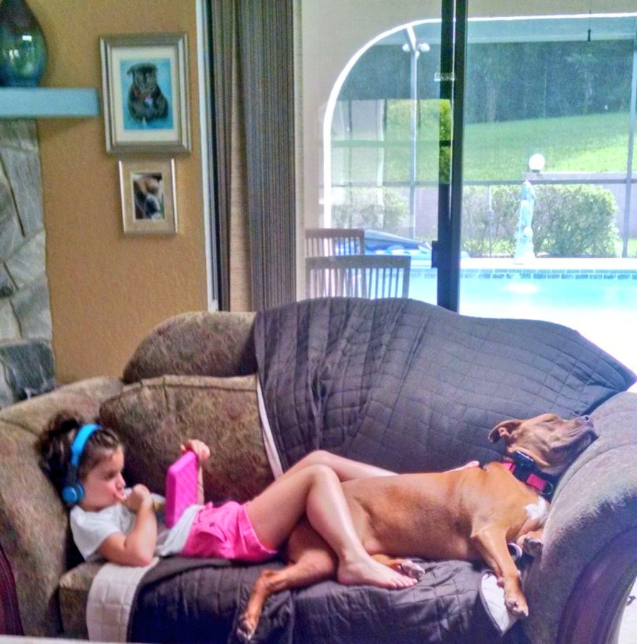 Donamaria tweet media