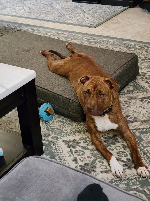 Donamaria tweet media