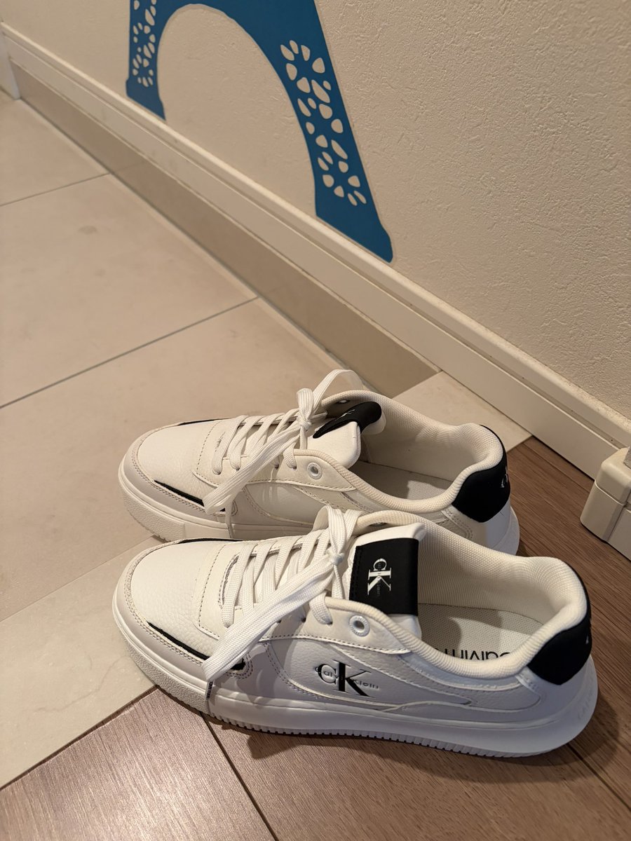 everything tweet media