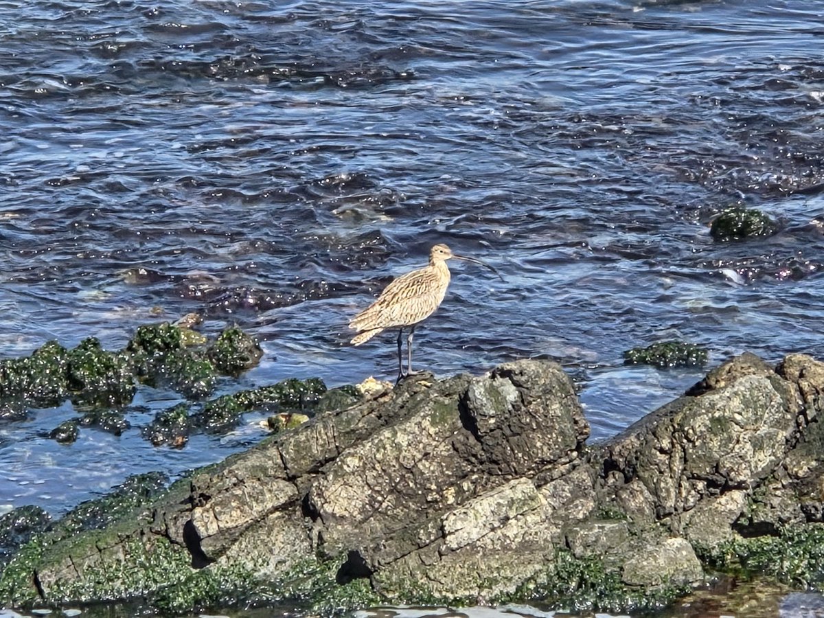 야생남 tweet media