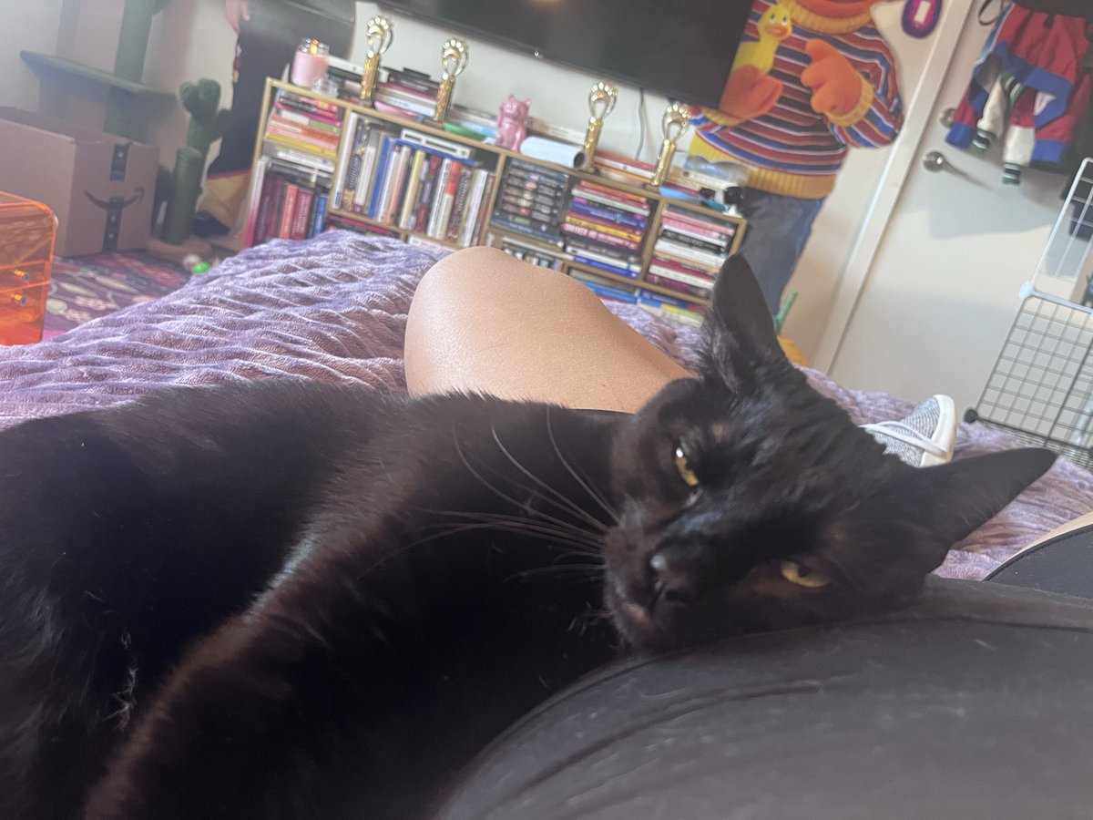 fallon iverson tweet media