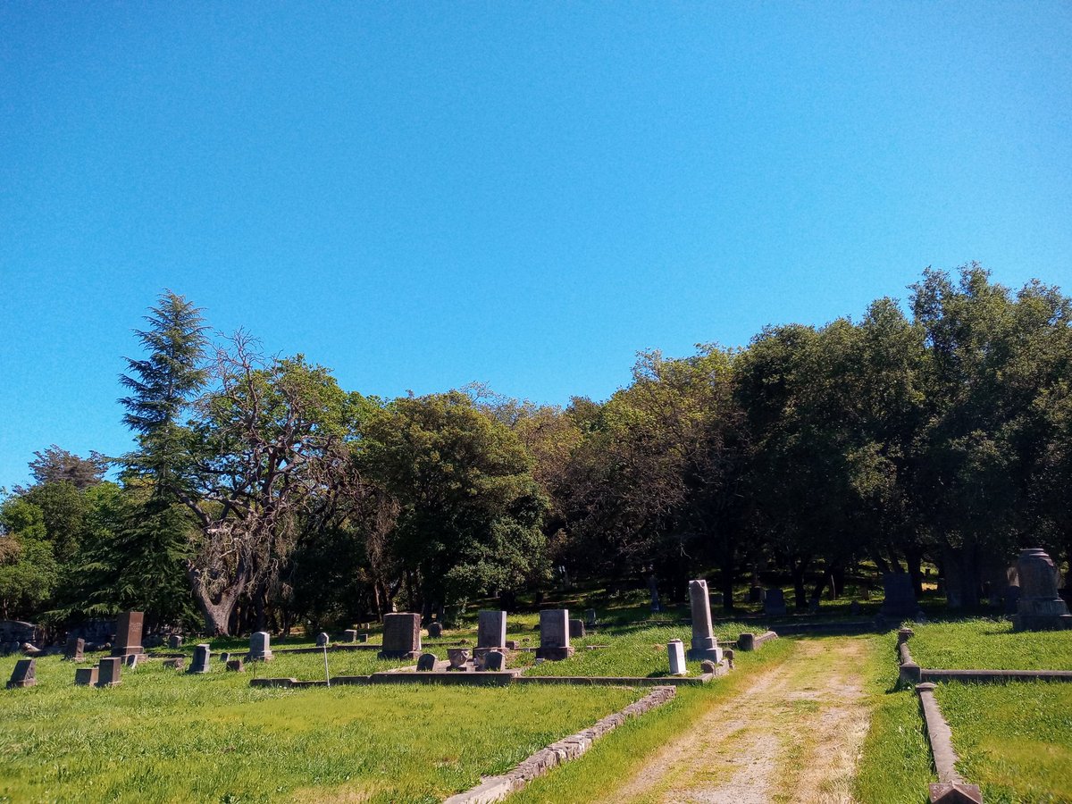 Kat The Red tweet media