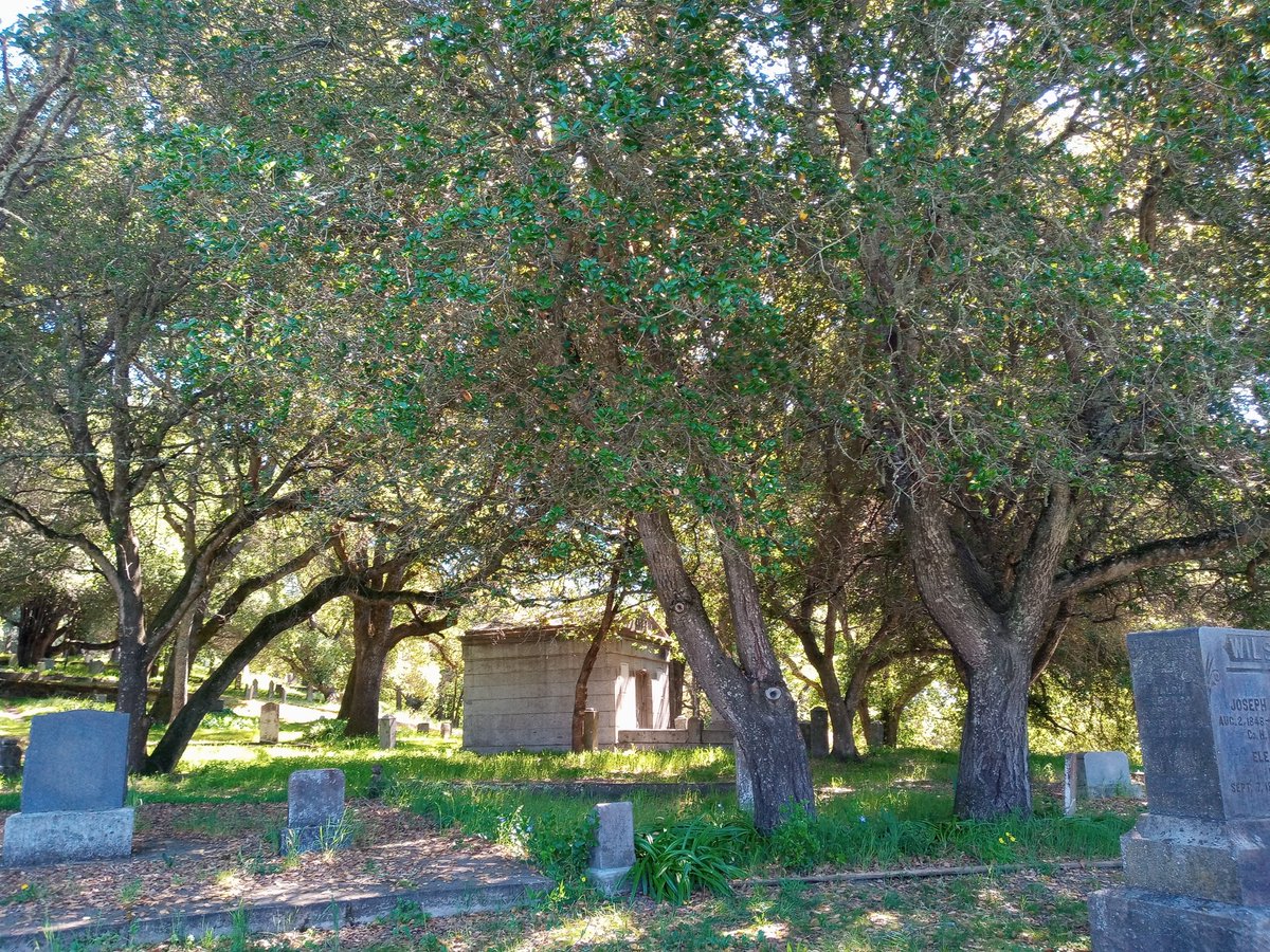 Kat The Red tweet media