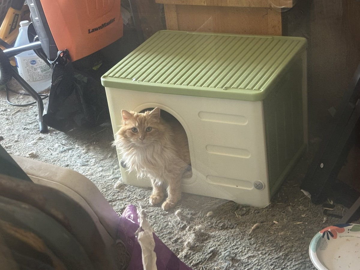 Wilson and friends tweet media