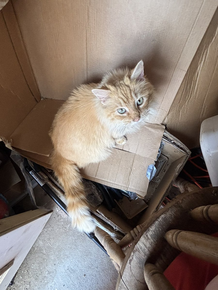 Wilson and friends tweet media