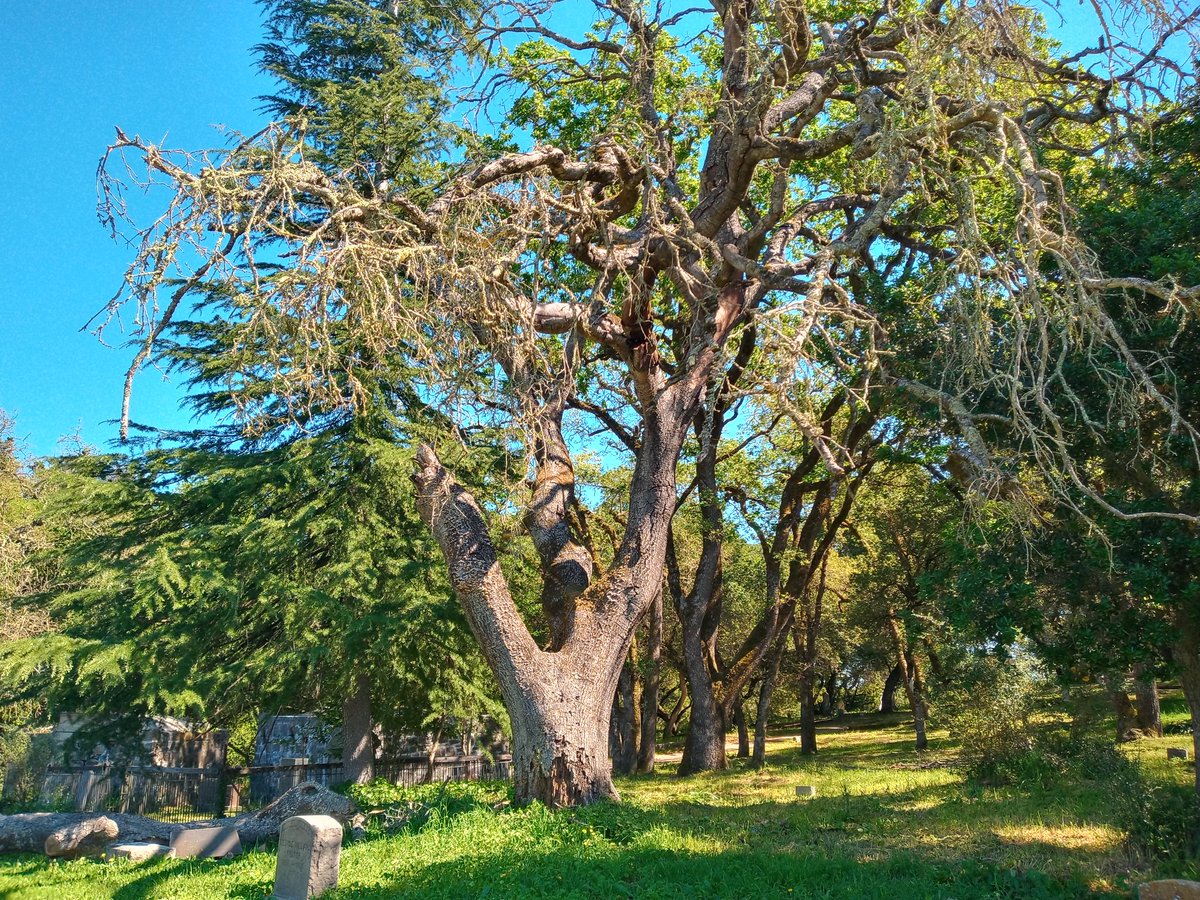 Kat The Red tweet media